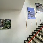 Harzer Hof * 고슬라르